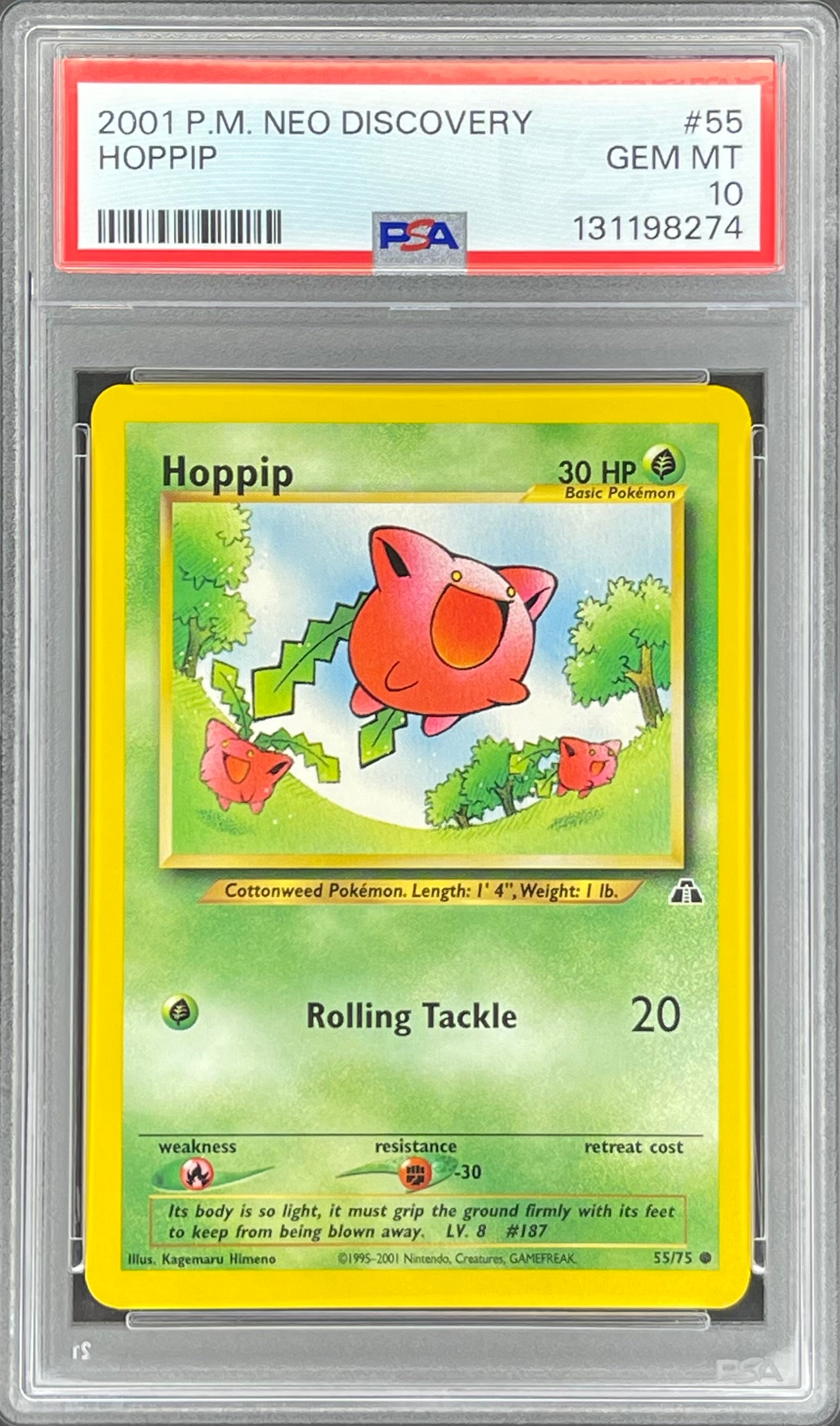 Hoppip 55/75: Neo Discovery