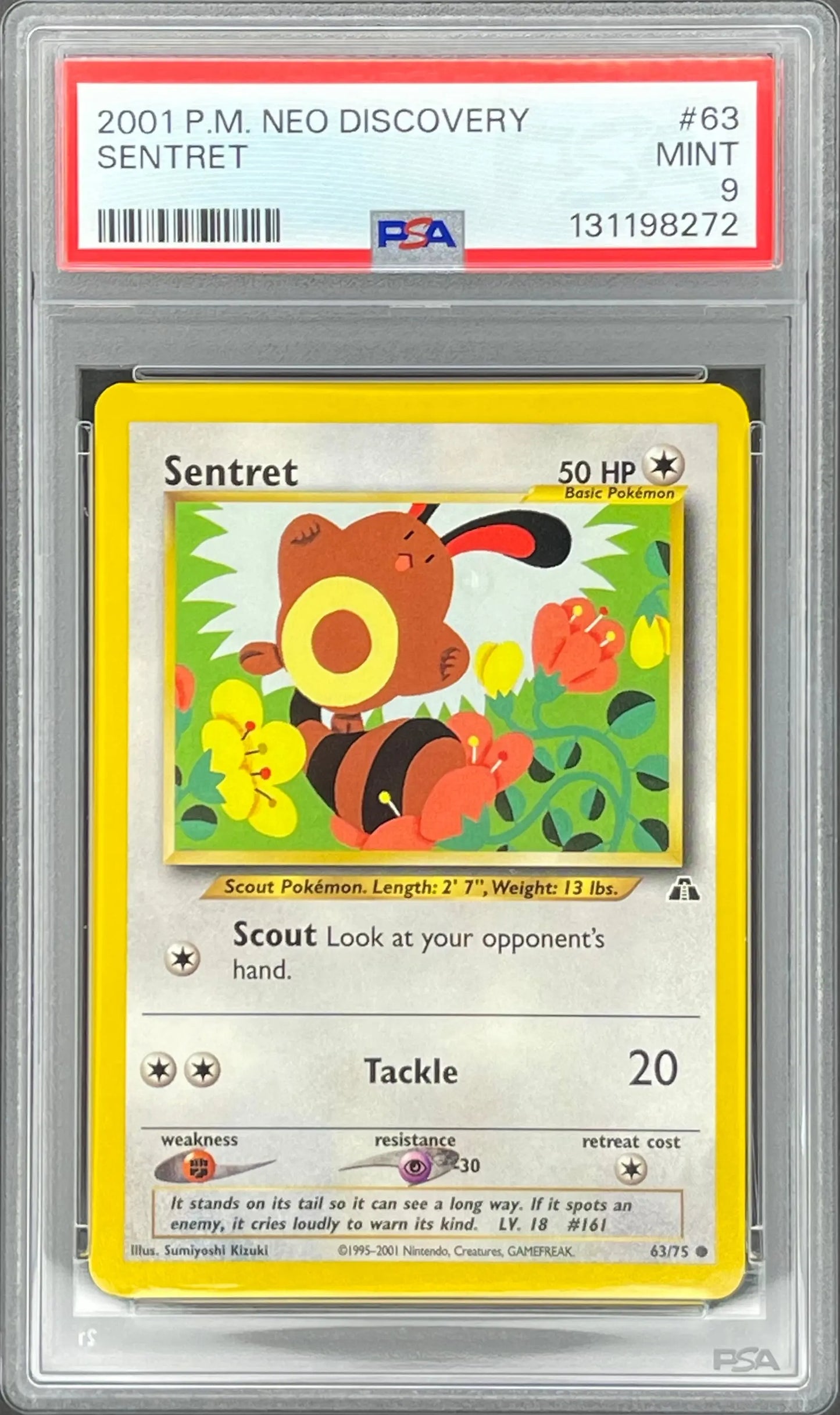 Sentret 63/75: Neo Discovery ThePokeVibe