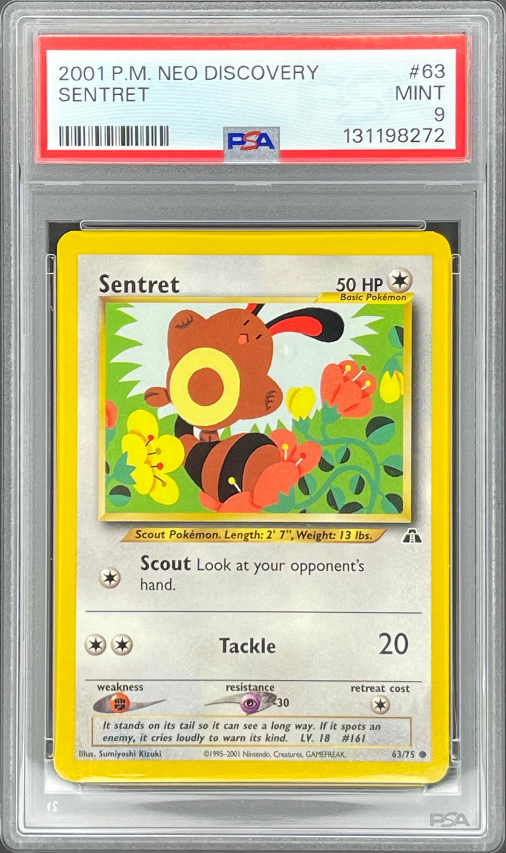 Sentret 63/75: Neo Discovery