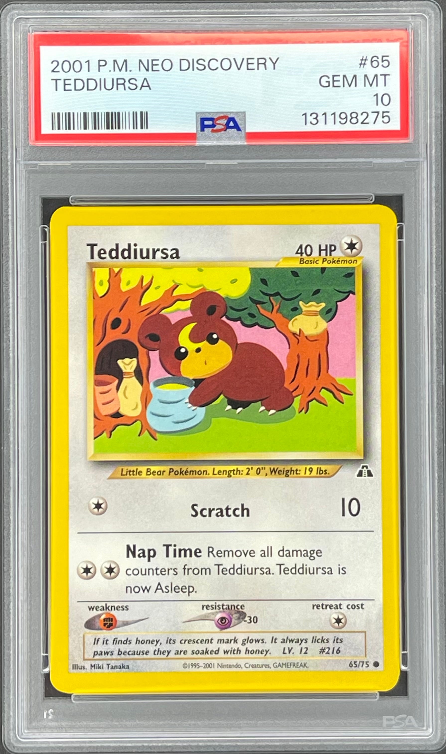 Teddiursa 65/75: Neo Discovery