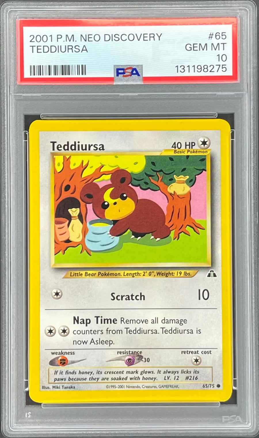 Teddiursa 65/75: Neo Discovery
